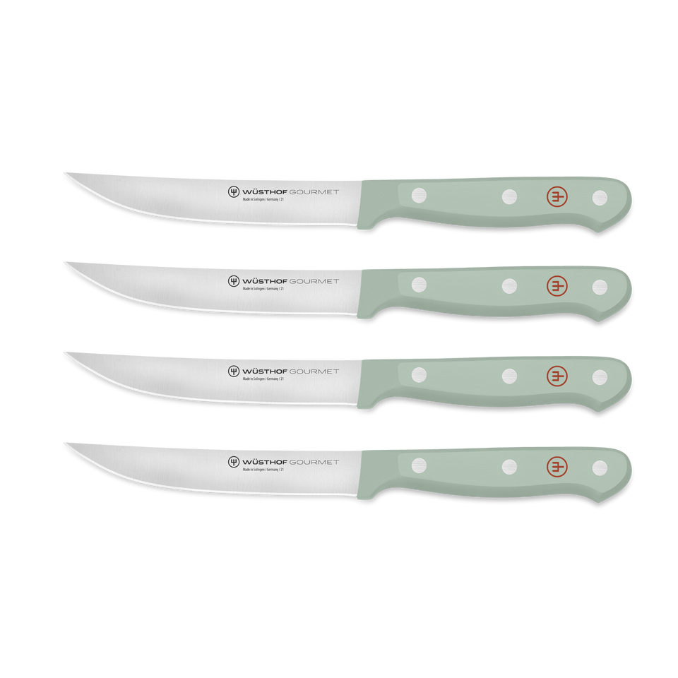Gourmet 4-Piece Steak Knife Set with sharp forged German steel blades and seafoam green triple-riveted ergonomic handles for comfortable cutting.
