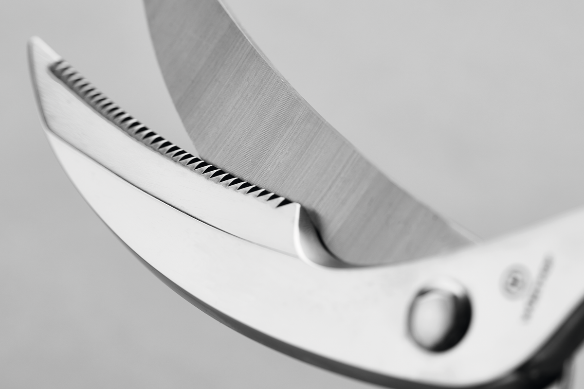 Close-up of the serrated cutting edge and sharp stainless steel blades on the 10" Stainless Steel Poultry Shears designed for efficient poultry preparation.