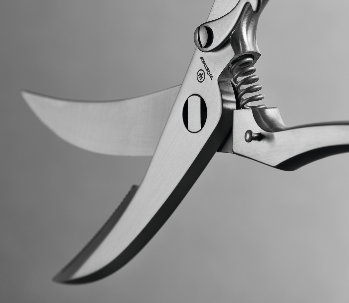 9" Stainless Steel Poultry Shears with curved blades, a strong spring mechanism, and a durable all-metal construction for precise cutting.