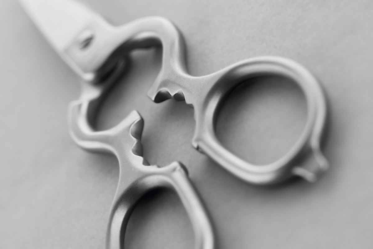 Stainless Kitchen Shears featuring interlocking serrated grips and sturdy stainless steel construction for efficient cutting and multitasking in the kitchen.