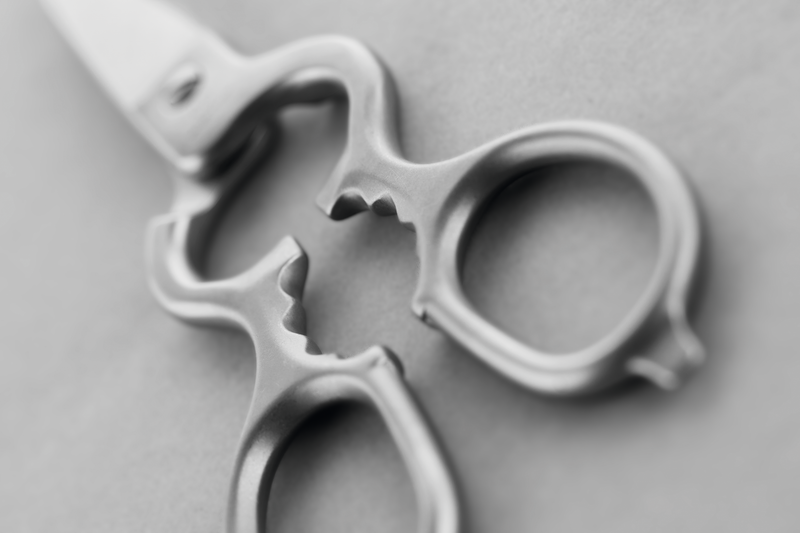 Stainless Kitchen Shears featuring interlocking serrated grips and sturdy stainless steel construction for efficient cutting and multitasking in the kitchen.
