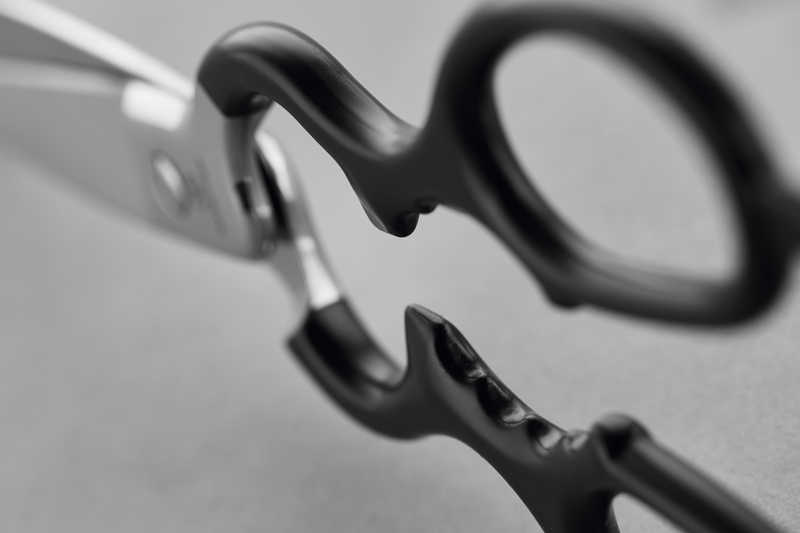 Stainless Kitchen Shears with Synthetic Grips featuring durable stainless steel blades and multi-function handles designed for comfort and efficient kitchen tasks.