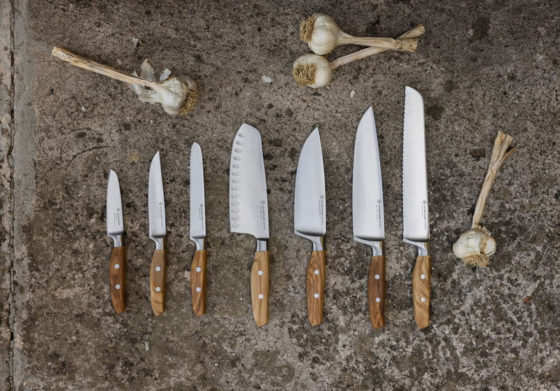 Set of seven kitchen knives with stainless steel blades and wooden handles, including the "Amici 6" Chef's Knife, arranged on a rustic surface with garlic bulbs.